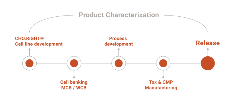 Product Characterization-1