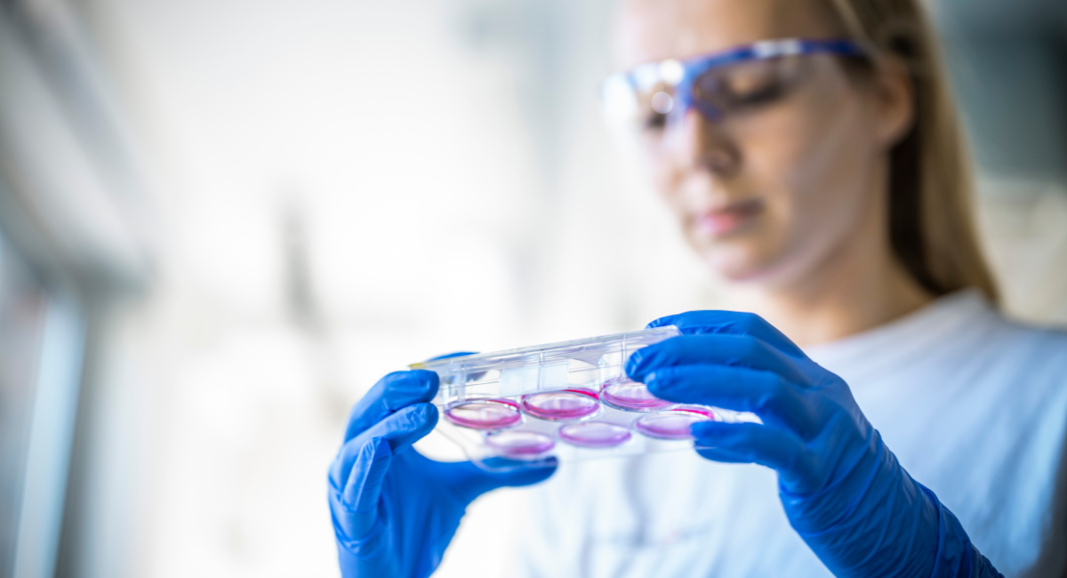 Transient Transfection Has Taken Us Far—But Can It Take Us Further?